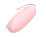 Perez bullet vibrator with 10 different vibration modes 1