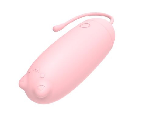 Perez bullet vibrator with 10 different vibration modes